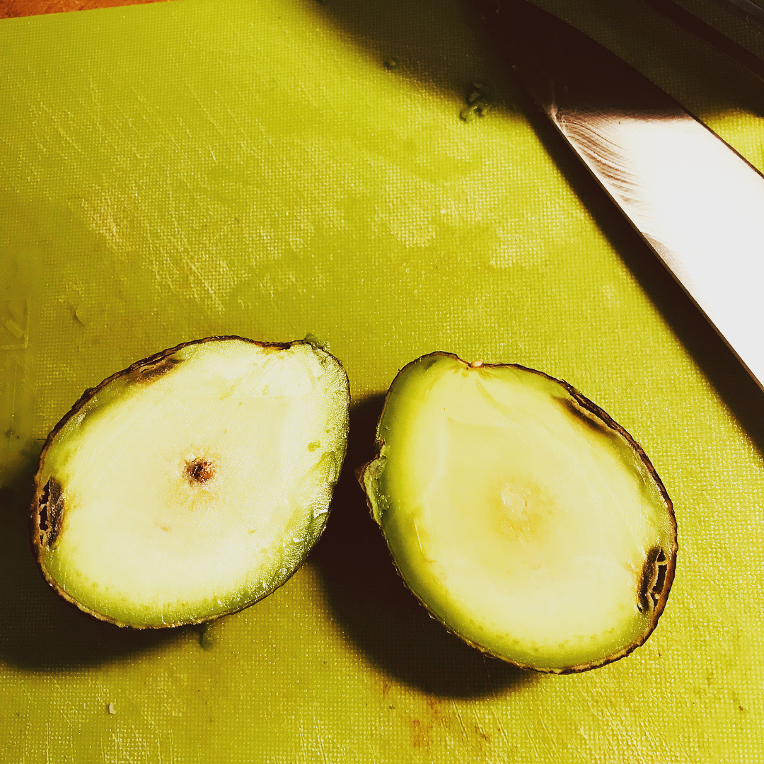 The pit to flesh ratio of this avocado is just perfect!