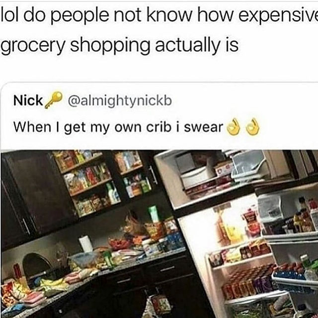 first apartment goals - lol do people not know how expensive grocery shopping actually is Nick When I get my own crib i swear
