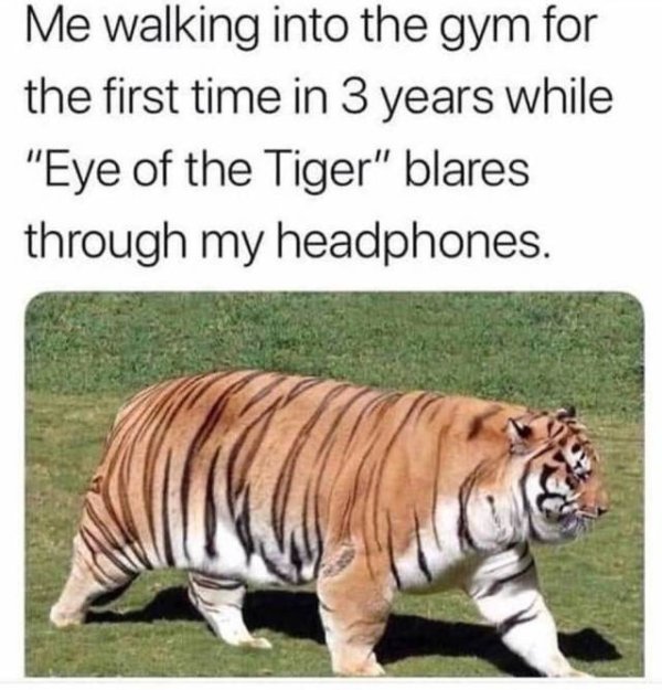 me walking into the gym eye - Me walking into the gym for the first time in 3 years while "Eye of the Tiger" blares through my headphones.