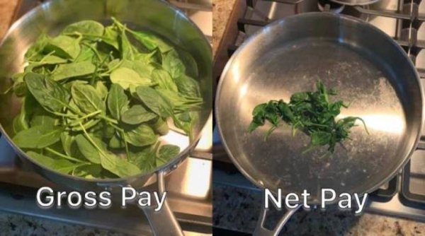 gross pay vs net pay meme - Gross Pay Net Pay