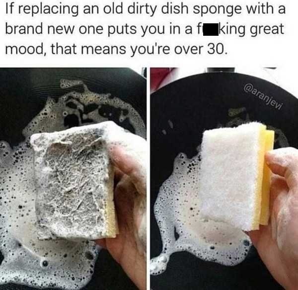 new dish sponge meme - If replacing an old dirty dish sponge with a brand new one puts you in af king great mood, that means you're over 30.