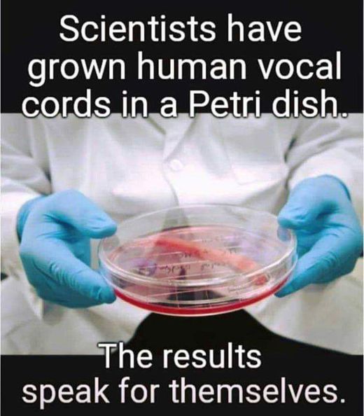 artificial urethra - Scientists have grown human vocal cords in a Petri dish. The results speak for themselves.