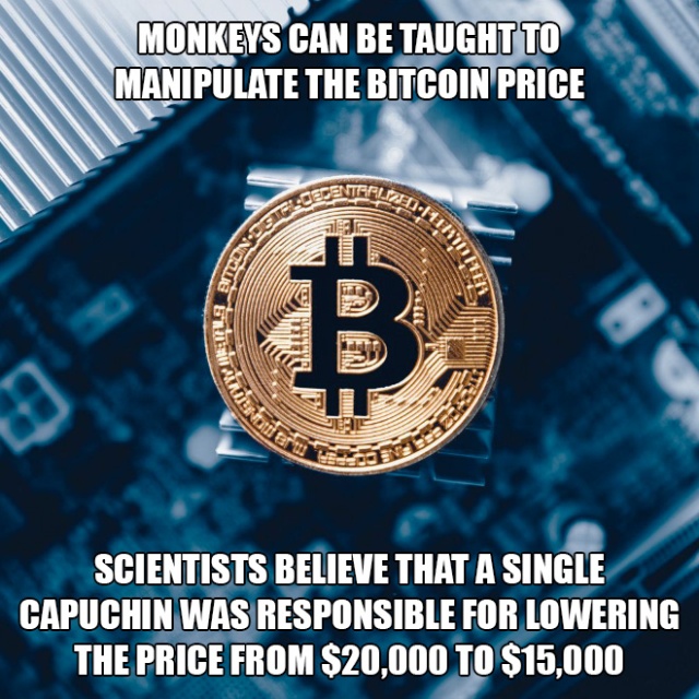 table for two - Monkeys Can Be Taught To Manipulate The Bitcoin Price Ondern Tata 69EUR Vandende Scientists Believe That A Single Capuchin Was Responsible For Lowering The Price From $20,000 To $15,000