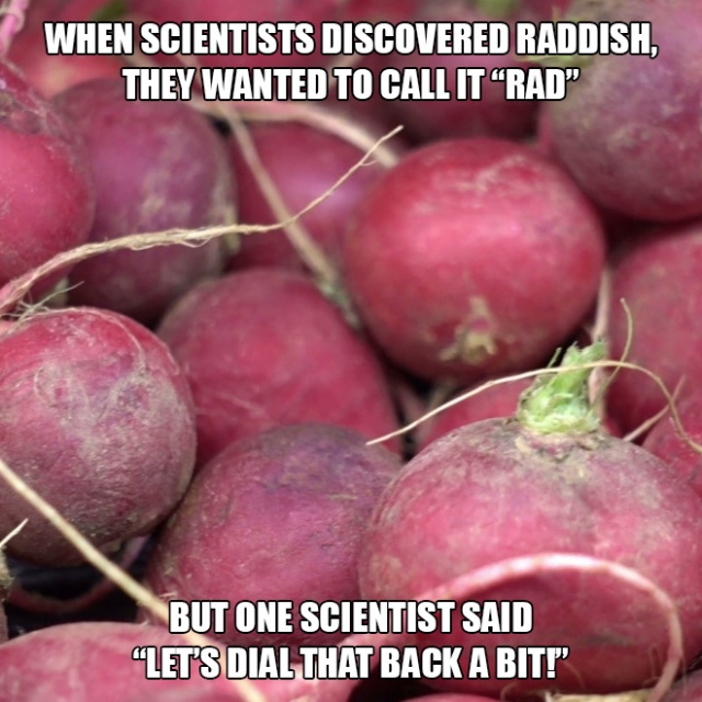 natural foods - When Scientists Discovered Raddish. They Wanted To Call It "Rad" But One Scientist Said "Let'S Dial That Back A Bit!"