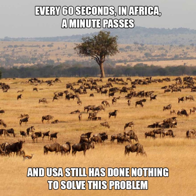 y serengeti en tanzania - Every 60 Seconds, In Africa A Minute Passes And Usa Still Has Done Nothing To Solve This Problem