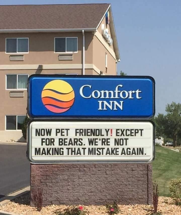 comfort inn pet friendly except for bears - Comfort Inn Now Pet Friendly! Except For Bears. We'Re Not Making That Mistake Again.