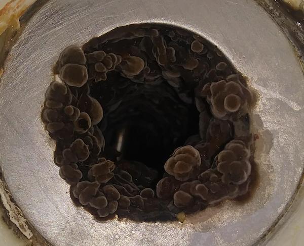 mold in sink drain