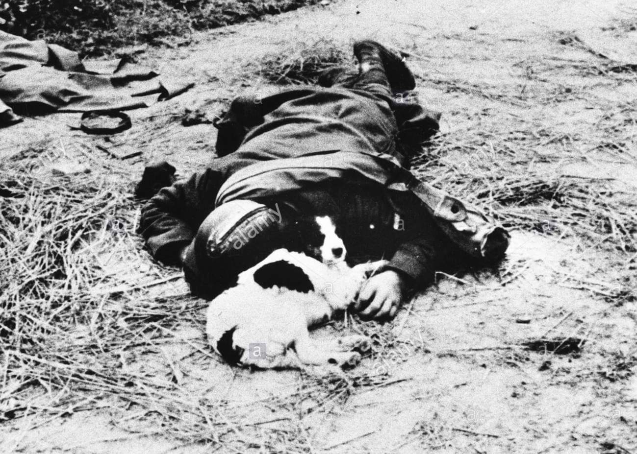 The body of a French soldier killed in 1940 is guarded by his dog.