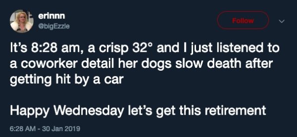 media - erinnn It's , a crisp 32 and I just listened to a coworker detail her dogs slow death after getting hit by a car Happy Wednesday let's get this retirement