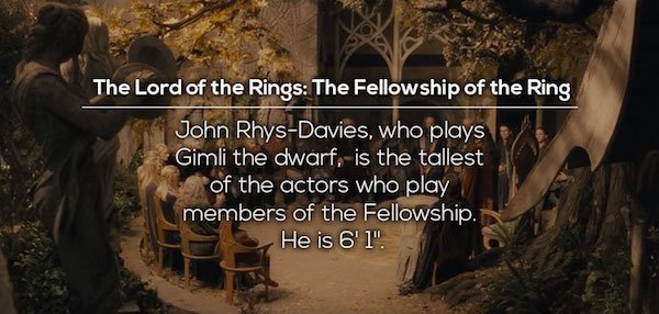 lord of the rings the fellowship - The Lord of the Rings The Fellowship of the Ring John RhysDavies, who plays Gimli the dwarf, is the tallest of the actors who play members of the Fellowship. He is 6'1".