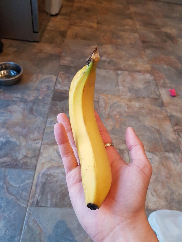 Twisted banana.