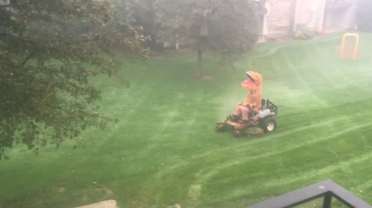 “This is how my apartment’s landscaper decided to mow the lawn today...”