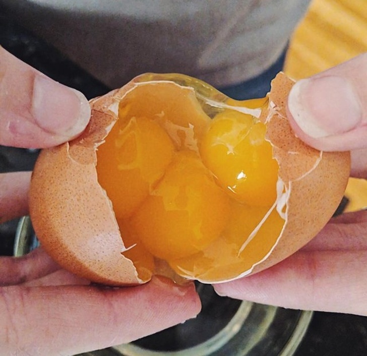 “Found 3 yokes in one egg today.”