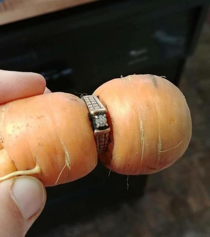 “My diamond ring has been missing since 2004 and turned up on a garden carrot.”
