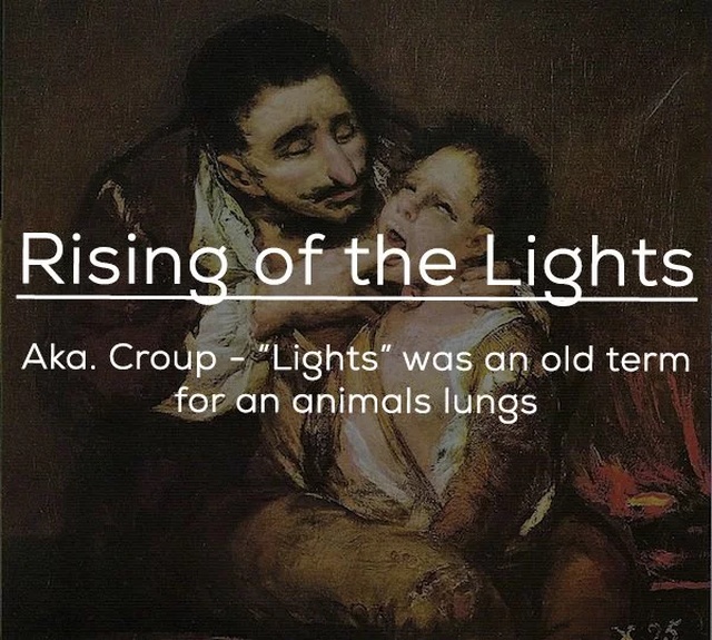 friendship - Rising of the Lights Aka. Croup "Lights" was an old term for an animals lungs