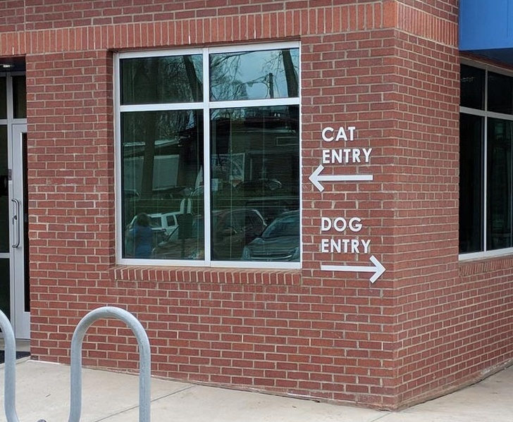 This vet has 2 separate entrances, one for dogs and one for cats.