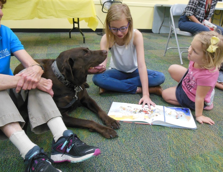 In Finland and the USA, there are dogs who work at libraries. Children who are learning to read can read them books and they listen to them attentively.