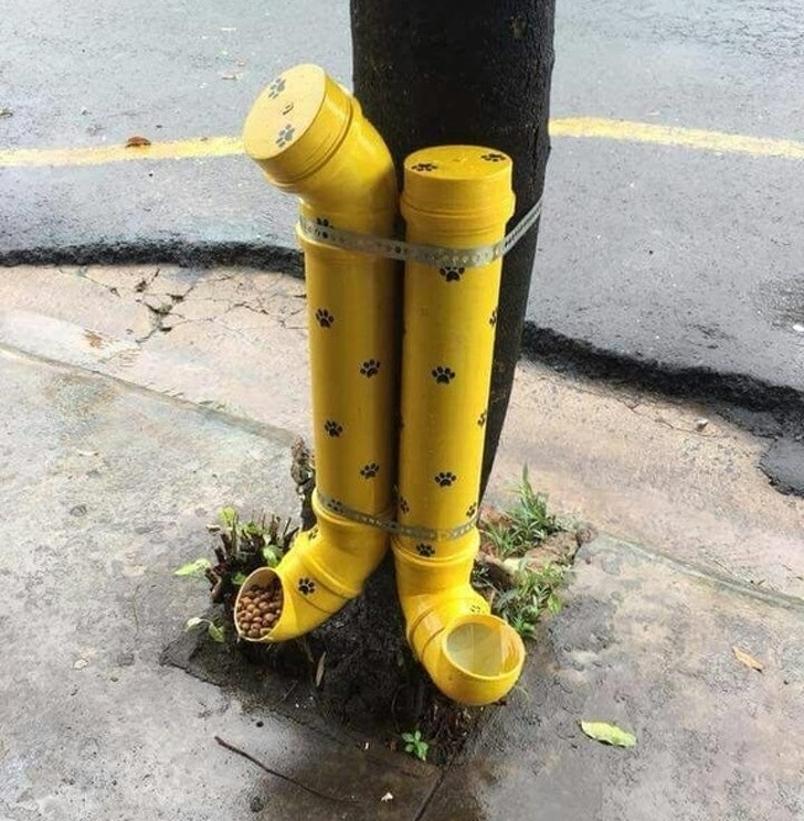 In Brazil, a restaurant owner installed these devices that are full of dog food and water.