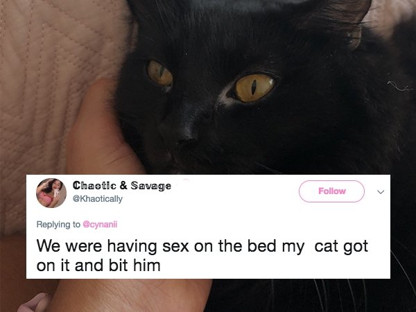 19 crazy sex stories