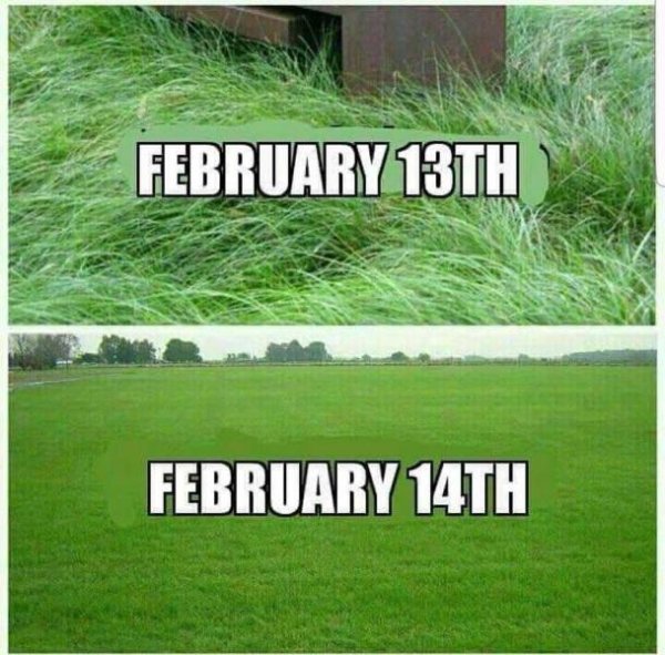 memes - valentine's day grass meme - February 13TH February 14TH