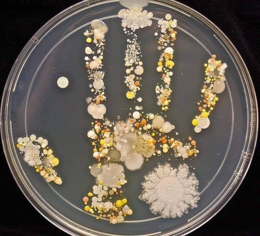 memes - handprint bacteria