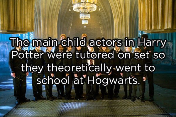 harry potter and the order - The main child actors in Harry Potter were tutored on set so they theoreticallywent to school at Hogwarts."