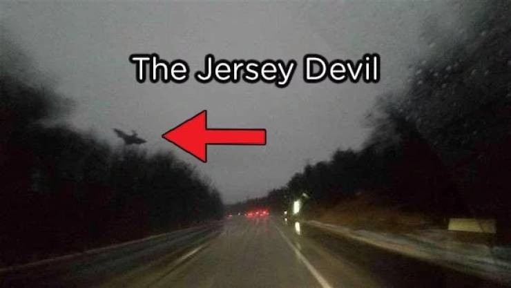 In an area of Southern New Jersey called the Pine Barrens, legend has it a winged and hooved creature described as having a goat-like or kangaroo-like head lives. The <a href="https://en.wikipedia.org/wiki/Jersey_Devil">Jersey Devil</a> legend starts in 1735 when a mother of 12, Jane Leeds, gave birth to her 13th child who was born normally but almost instantly changed into a creature with hooves, a goat-like head, the wings of a bat, and a forked tail. It started growling and screaming before killing the midwife and crawling up the chimney and flying out in the pines. The Jersey Devil has since been reported in the area for centuries including a spotting by Napoleon olden brother Joseph Bonaparte, who claimed to have seen the creature in Bordentown in 1920, later blaming it for killing his livestock after hearing screams and finding tracks. In 1909 it's reported that the creature attacked a trolley car in Camden, officers fired on the creature to no effect which lead to school shutdowns and a vigilante group to hunt the creature. The Philadelphia Zoo even posted a $10,000 reward for the creature. 