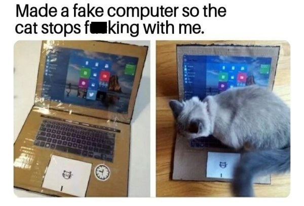 made a fake computer for my cat - Made a fake computer so the cat stops foking with me.