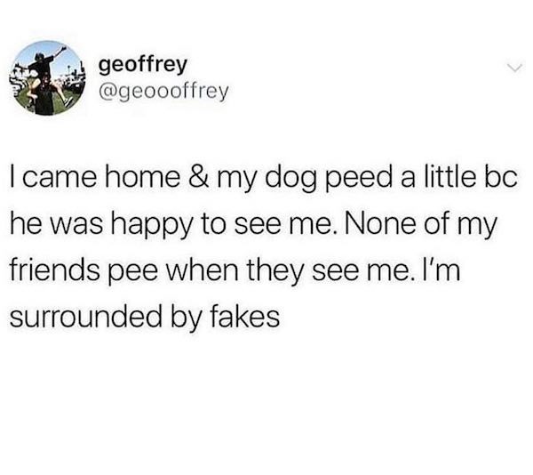 memes - pockets snack holes - geoffrey I came home & my dog peed a little bc he was happy to see me. None of my friends pee when they see me. I'm surrounded by fakes