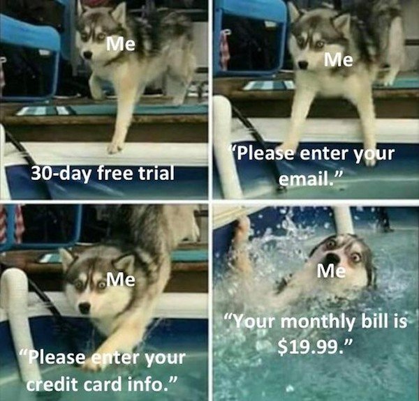 memes - hows life going dog meme - MeMe Me "Please enter your 30day free trial email." Me "Your monthly bill is $19.99." "Please enter your credit card info."