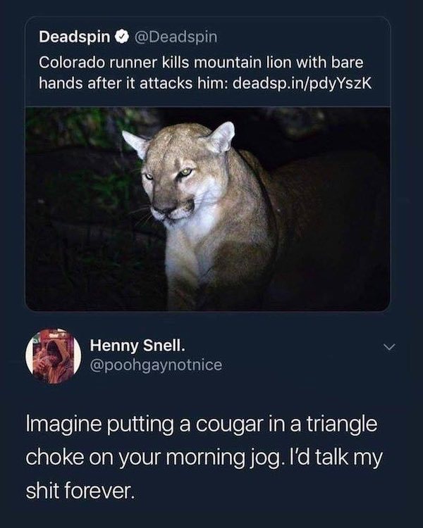 memes - man kills mountain lion with bare hands meme - Deadspin Colorado runner kills mountain lion with bare hands after it attacks him deadsp.inpdyYszk Henny Snell. Imagine putting a cougar in a triangle choke on your morning jog. I'd talk my shit forev