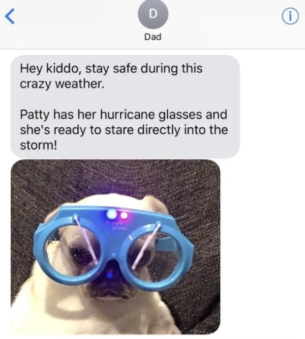 voce usa oculos - Dad Hey kiddo, stay safe during this crazy weather. Patty has her hurricane glasses and she's ready to stare directly into the storm!
