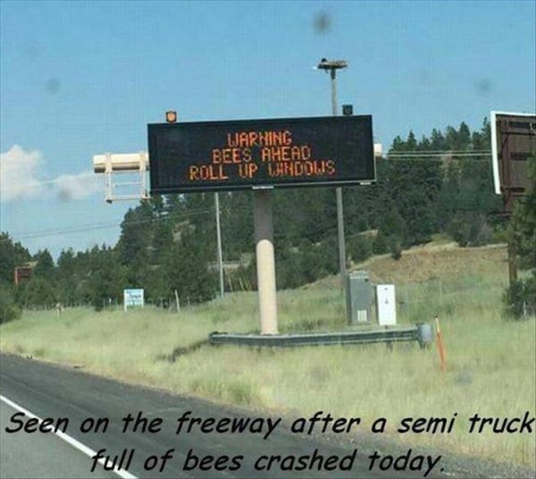 traffic sign - Larning Bees Ahead Roll Up Windows Seen on the freeway after a semi truck full of bees crashed today