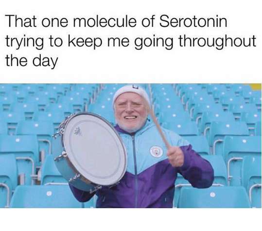 memes - one molecule of serotonin - That one molecule of Serotonin trying to keep me going throughout the day