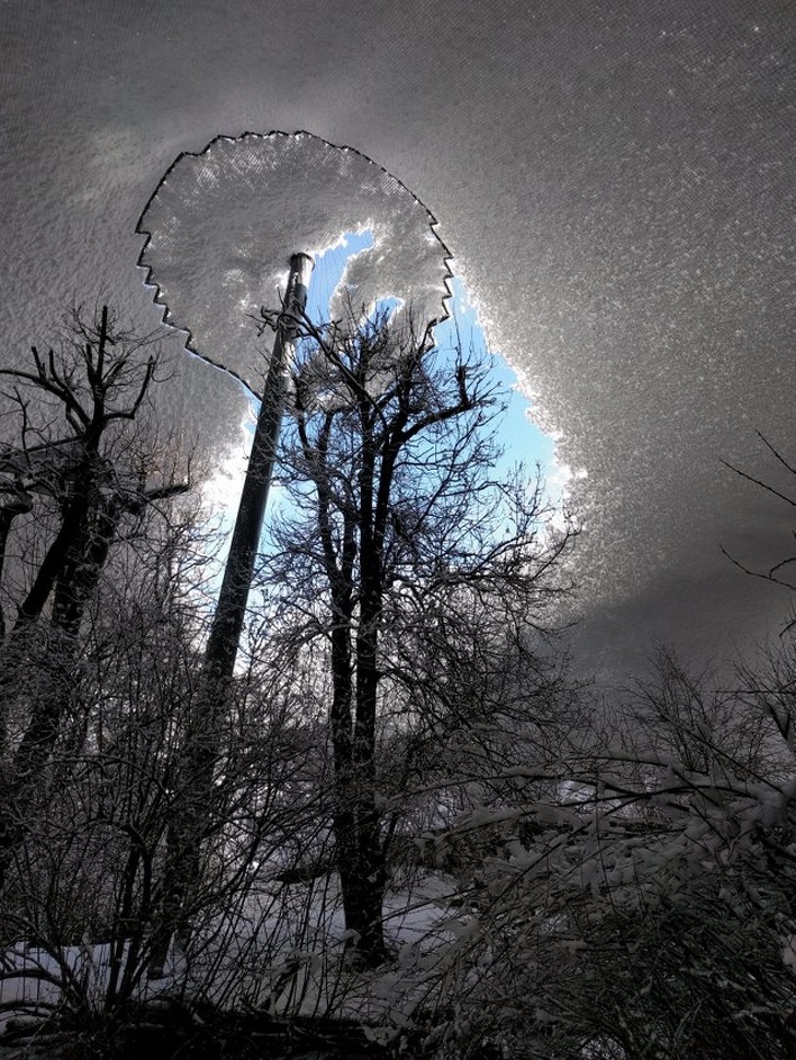 Snow covered the net roof of the aviary in the zoo.