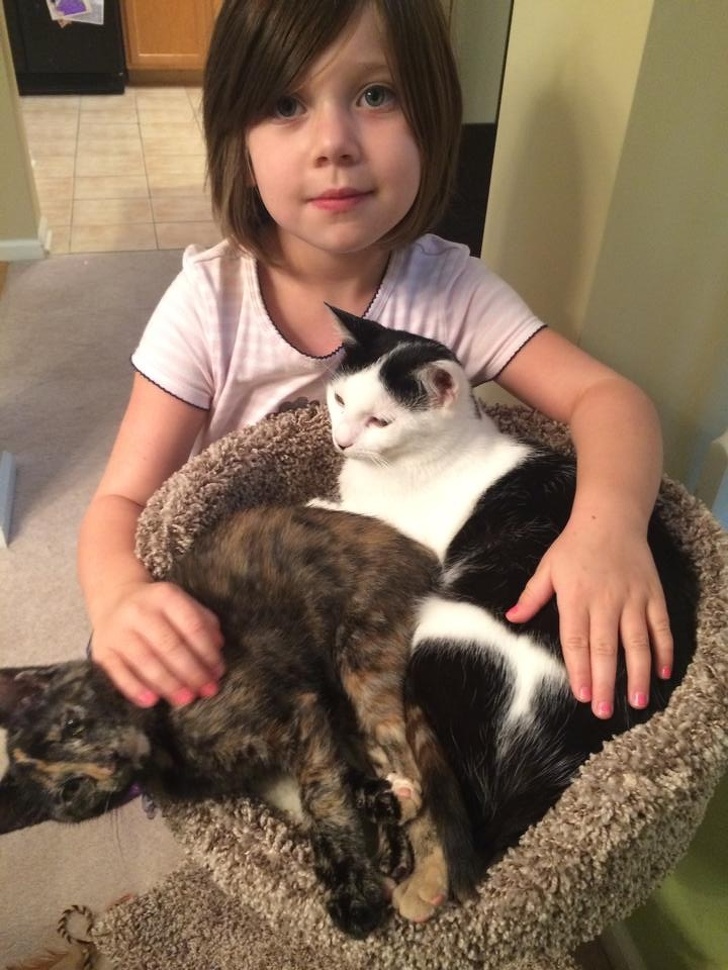 She said to her mommy, “Thank you for adopting these kitties! They are the best!”