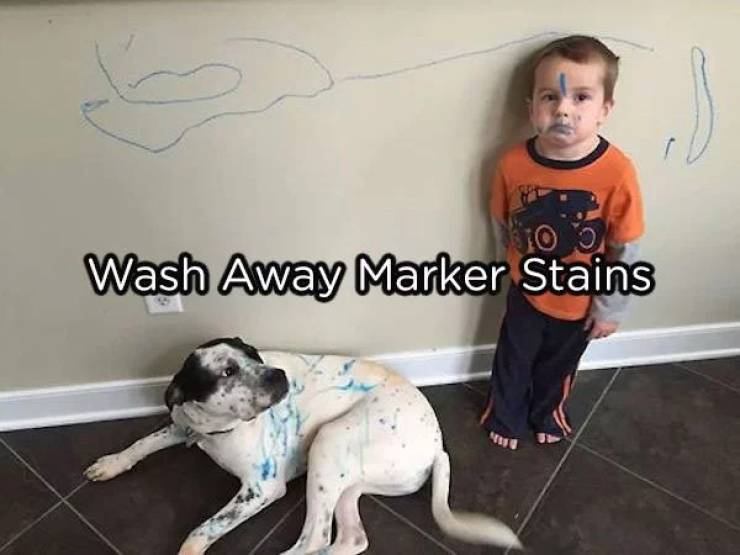 The creativity of children is wonderful, until it becomes markers on the wall. Put away the belt, there’s no need to beat them because now you have a hack for that—the wall, not the kids. Just take a cloth and dip it in some coke to scrub out the marker without removing the paint.