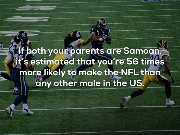 player - If both your parents are Samoan, it's estimated that you're 56 times more ly to make the Nfl than any other male in the Us.