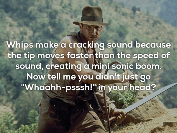 indiana jones action - Whips make a cracking sound because the tip moves faster than the speed of sound, creating a mini sonic boom. Now tell me you didn't just go "Whaahhpsssh!" in your head?