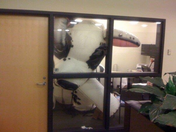 “I thought it would be funny to inflate a 10 ft dog inside an office with 9 ft ceilings.”