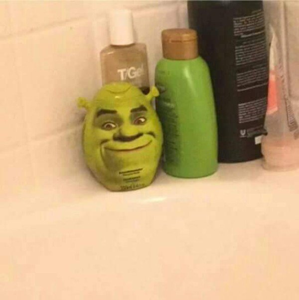 wtf shrek