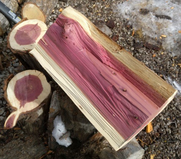 “The center of this firewood is magenta.”