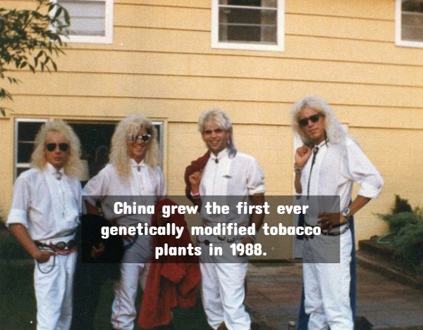 fun - China grew the first ever genetically modified tobacco plants in 1988.