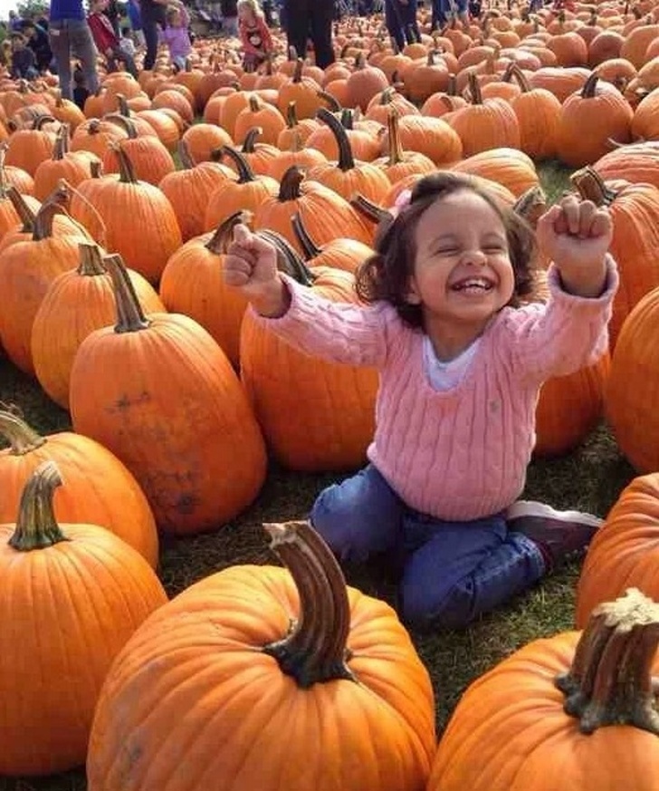 “My niece has always loved pumpkins. Today, we took her to a pumpkin farm for the first time...”