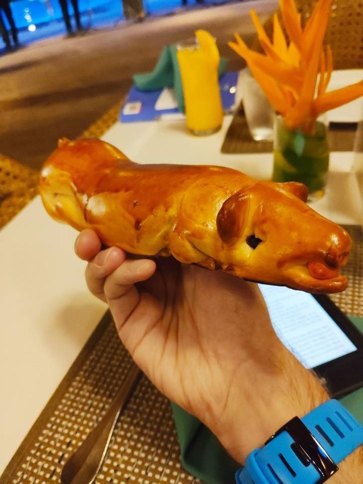 “This bread at my hotel also comes with a curly tail.”