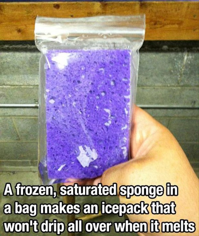 amazing life hacks - A frozen, saturated sponge in a bag makes an icepack that won't drip all over when it melts