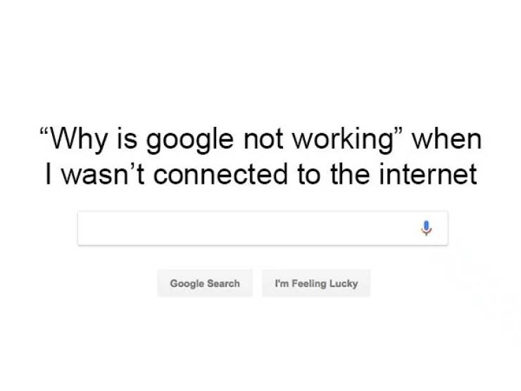 19 things people actually googled