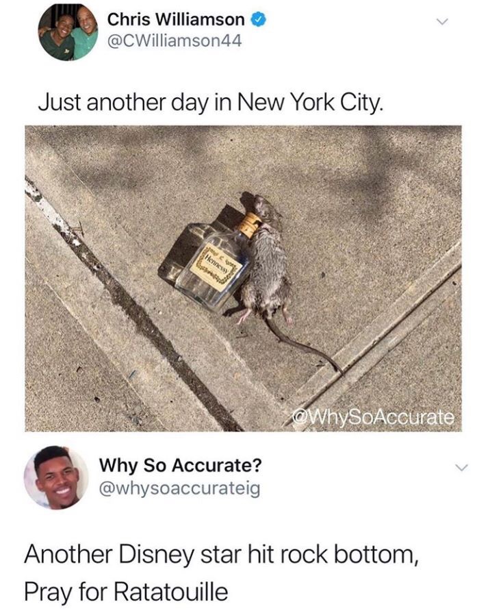 ratatouille meme - Chris Williamson Just another day in New York City. Hennessy Why So Accurate? Another Disney star hit rock bottom, Pray for Ratatouille