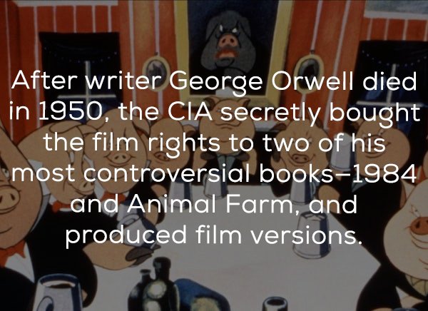 photo caption - After writer George Orwell died in 1950, the Cia secretly bought the film rights to two of his most controversial books1984 and Animal Farm, and produced film versions.