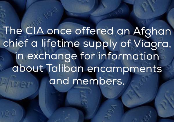 100 The Cia once offered an Afghan chief a lifetime supply of Viagra, in exchange for information about Taliban encampments Pzarand members. Vor 100